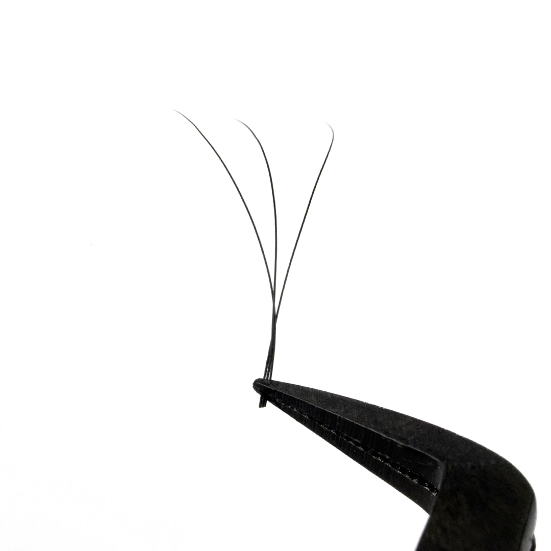 Professional Eyelash Extension - 3D Clover - CC Curl