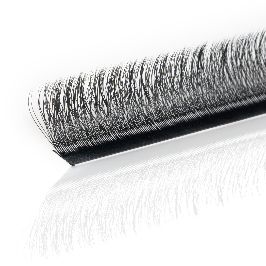 Professional Eyelash Extension - 3D Clover - D Curl