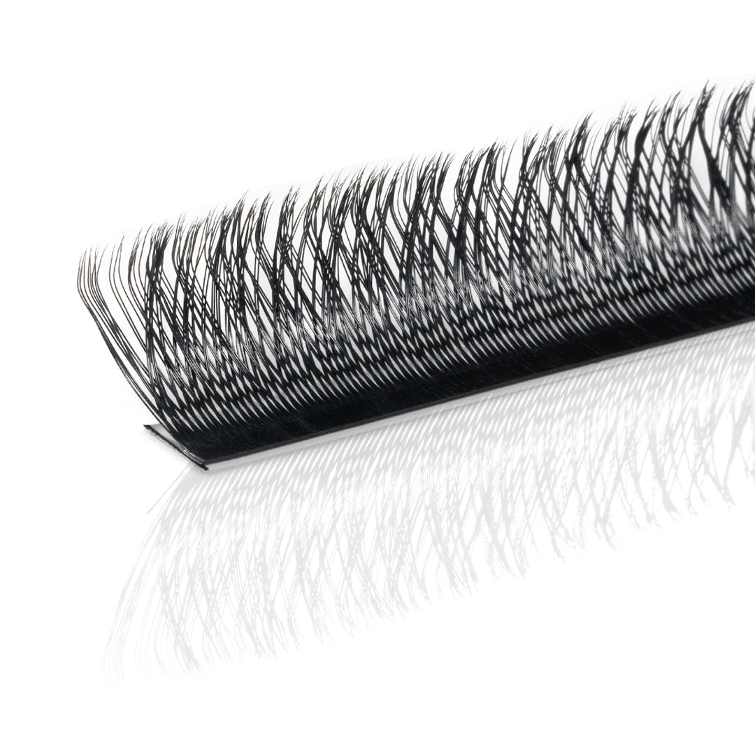 Professional Eyelash Extension - YY - D Curl
