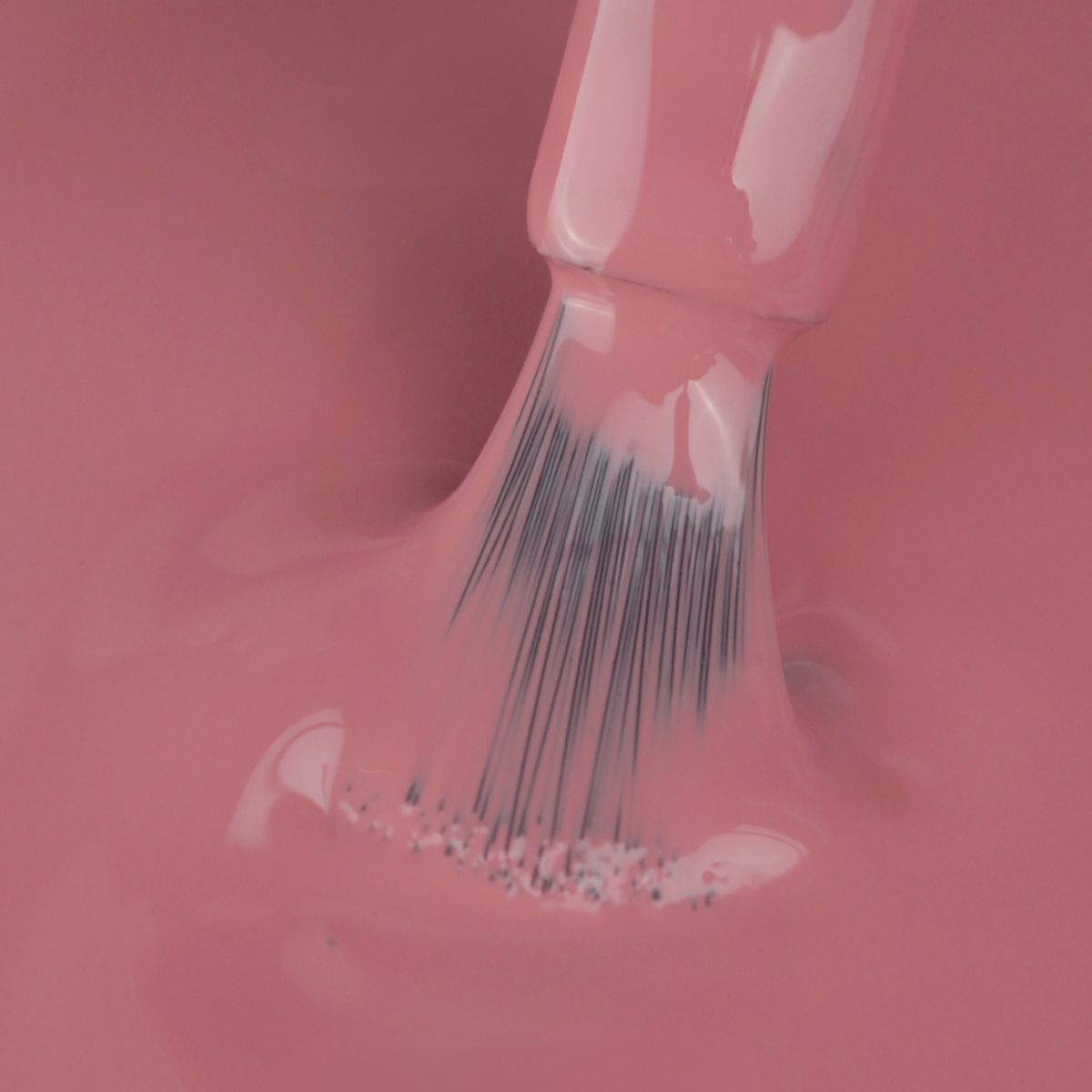 Gel Color - Little Susie - WINTER Col.