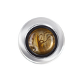 Gel Paint - Spider - Gold - SPIDER Col.