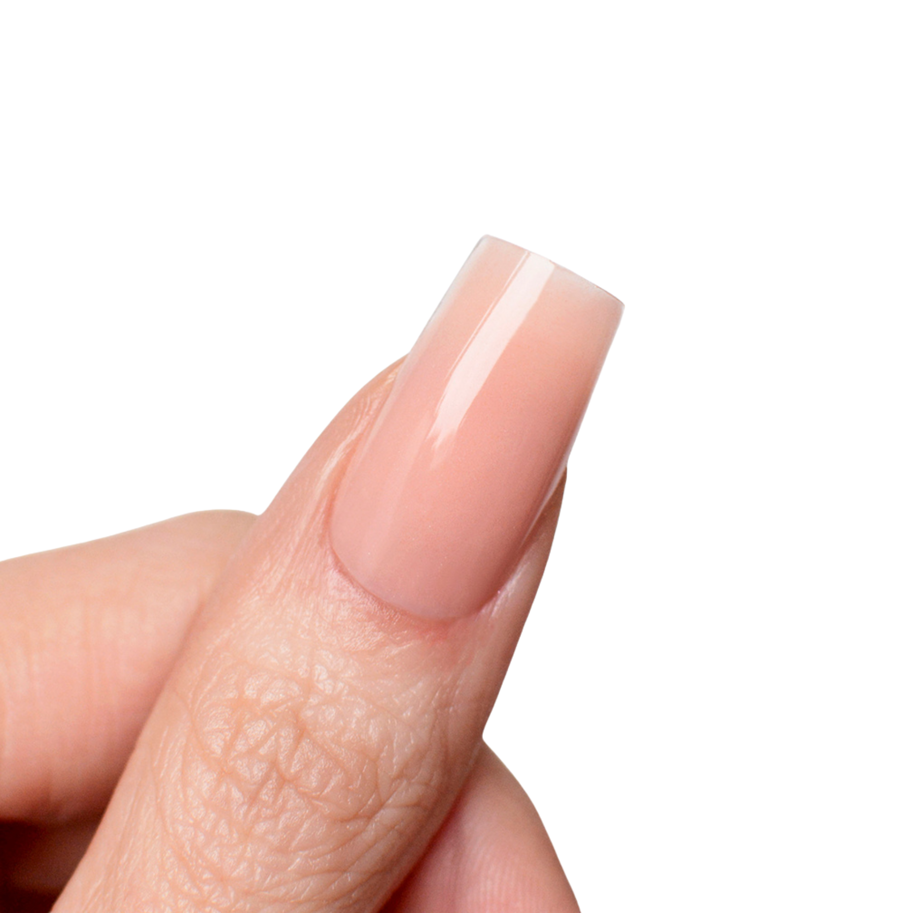 Acrylic Nail Powder - Cover Rose