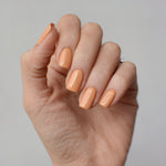 Gel Color - Almond - FOOD Col.