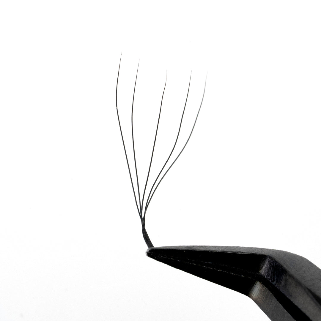 Professional Eyelash Extension - 5D Clover - D Curl