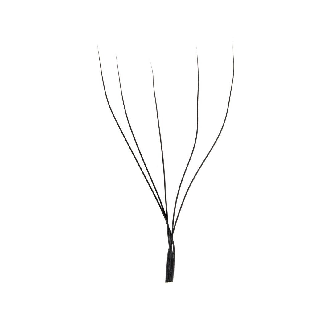 Professional Eyelash Extension - 5D Clover - D Curl