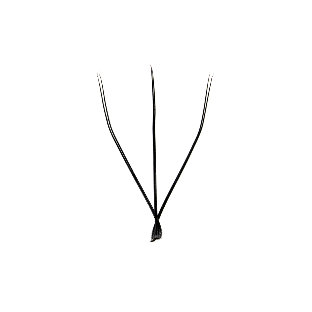 Professional Eyelash Extension - W - C Curl