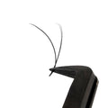 Professional Eyelash Extension - YY - D Curl