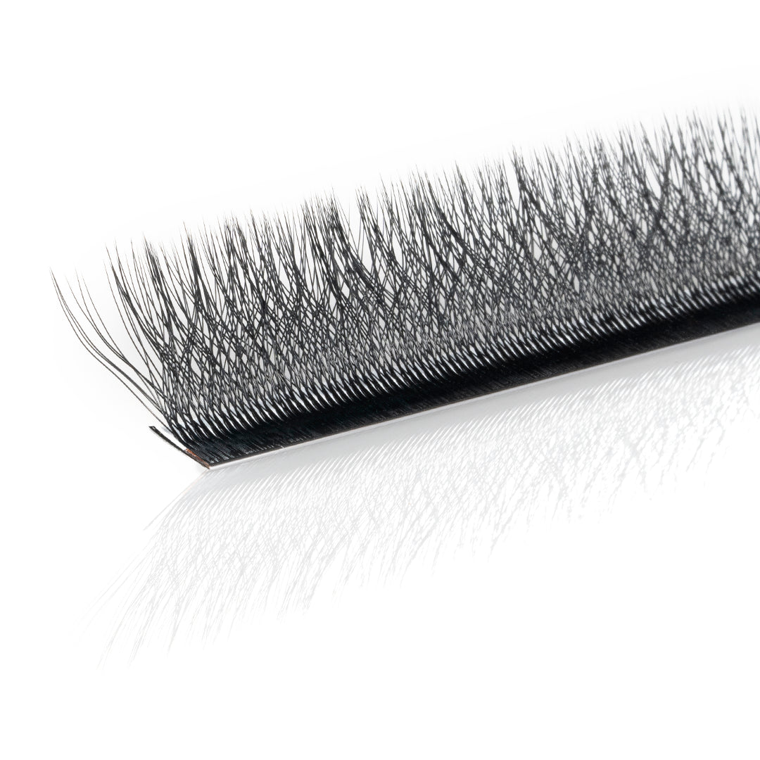 Professional Eyelash Extension - 5D Clover - D Curl