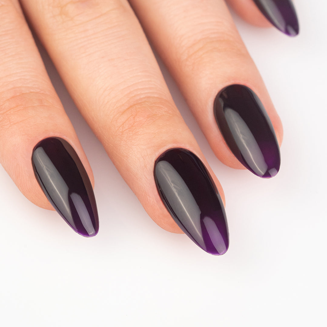 Gel Color Eggplant - FOOD Col.