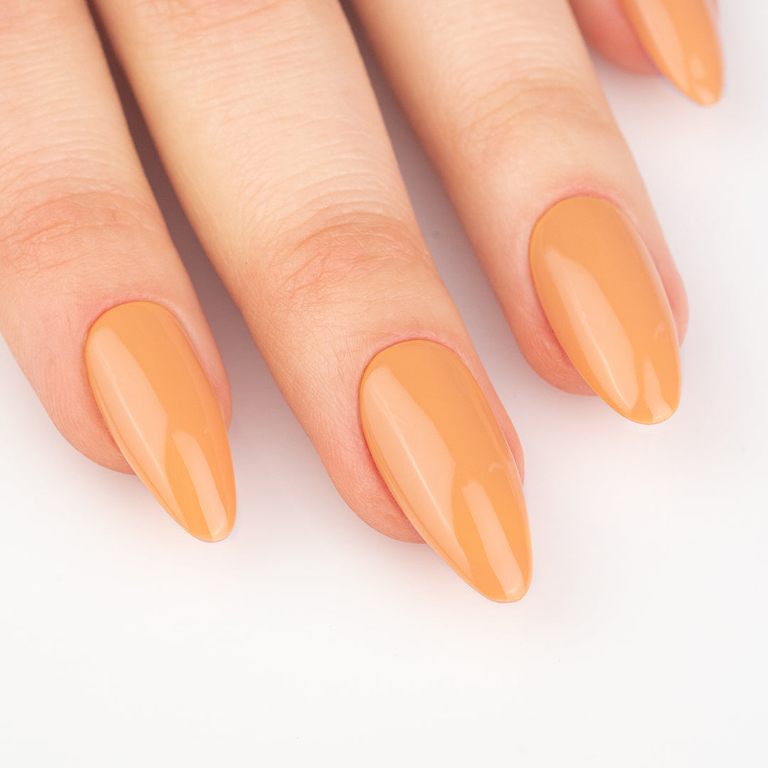 Gel Color - Almond - FOOD Col.
