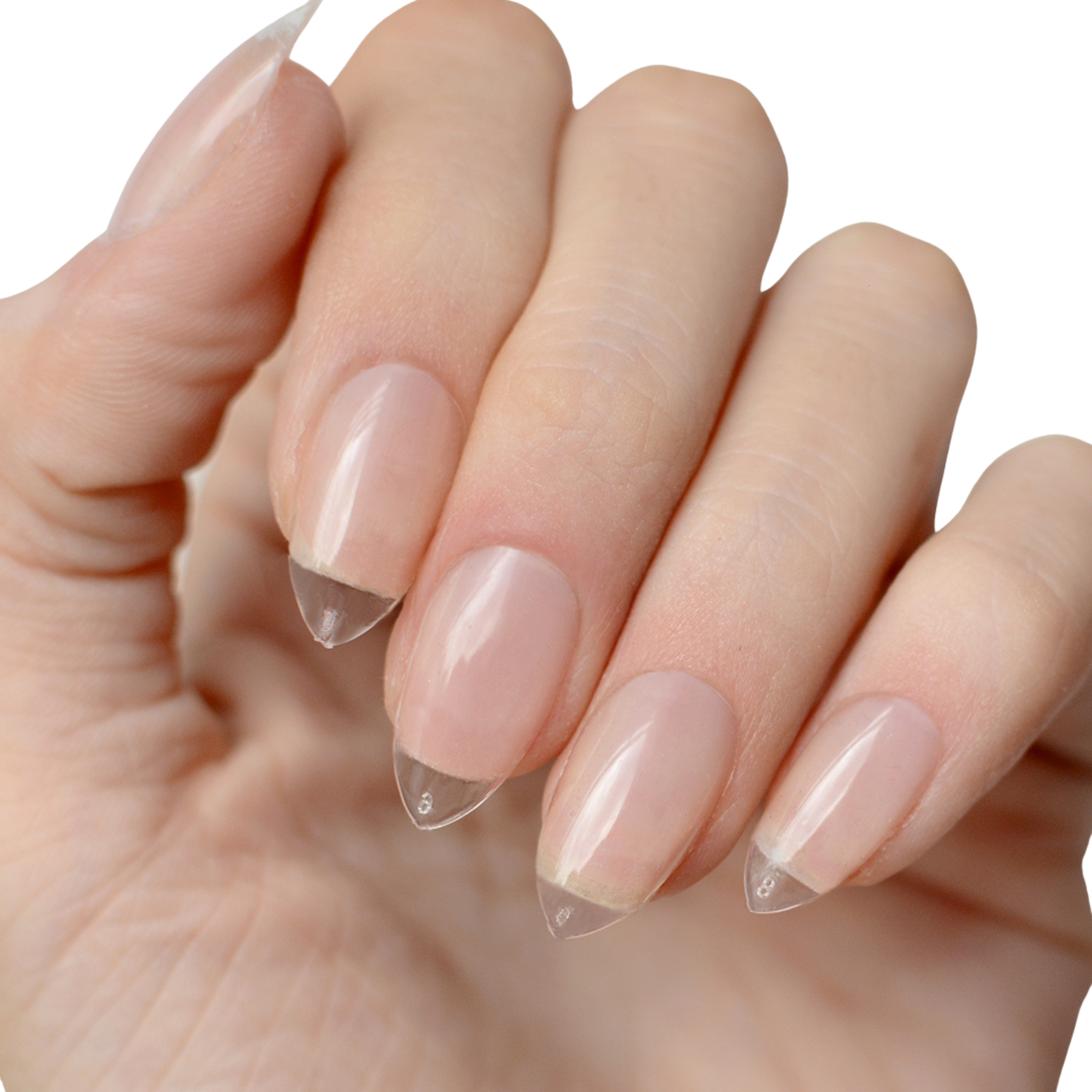 Easy Tips - Almond Medium